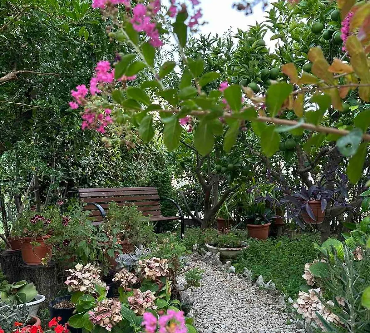 Apartman Branka Rab Town